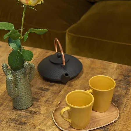 شقة Fabulous Grey باريس